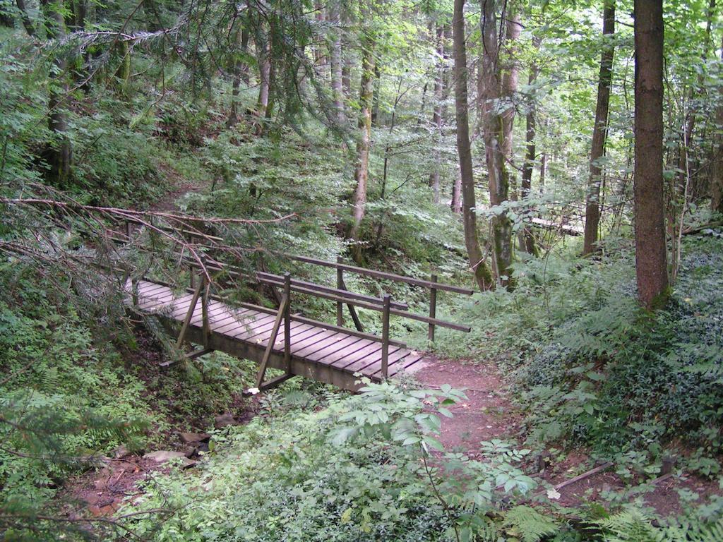 Bed And Breakfast Isidorus Winterberg Exterior photo